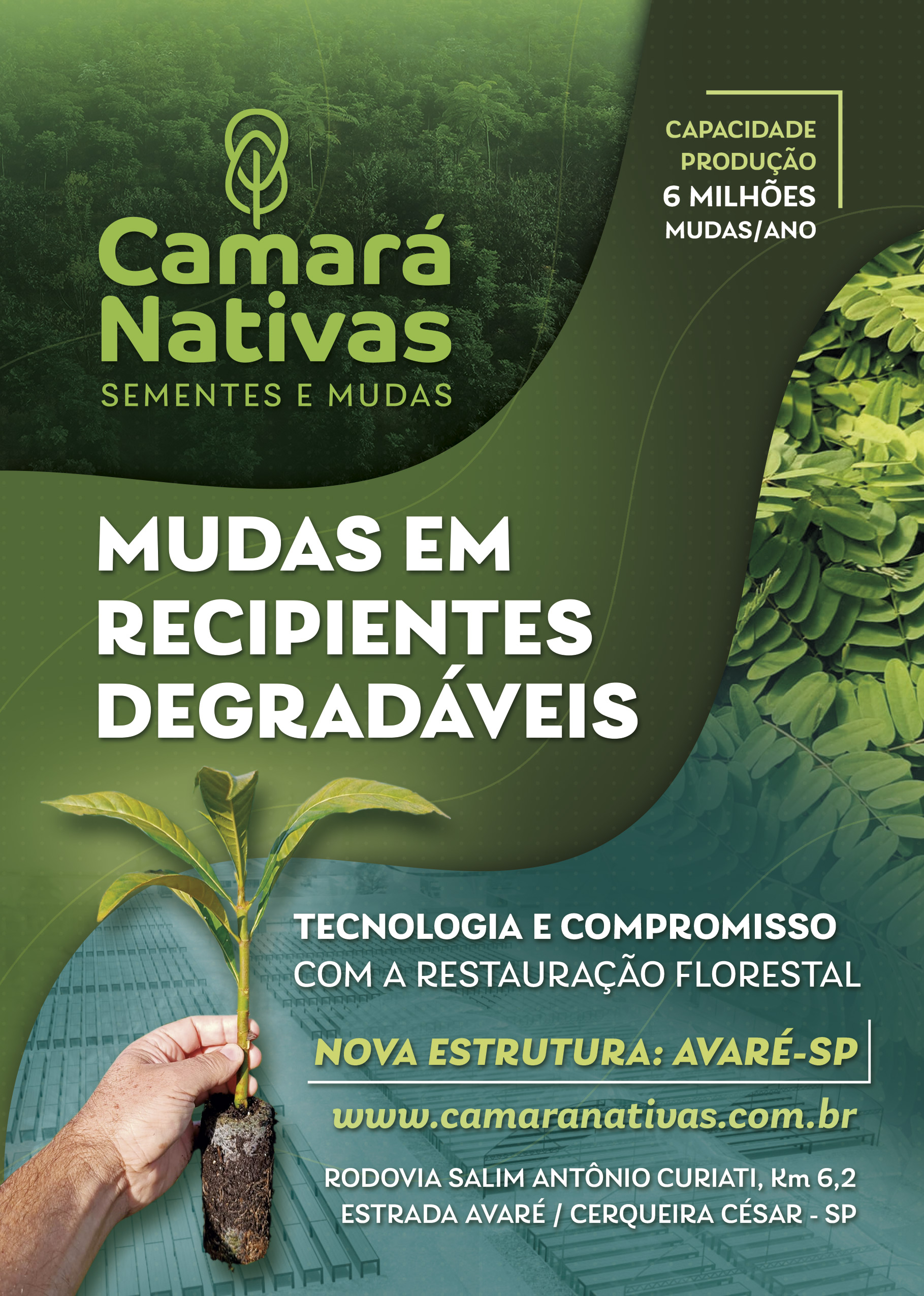 Câmaras Nativas